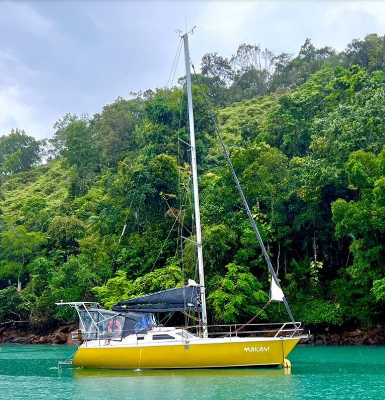 imagem_2024-12-05_124259224